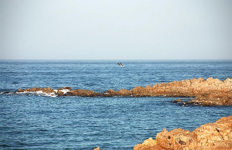 Evane Plettenberg Bay Exterior photo